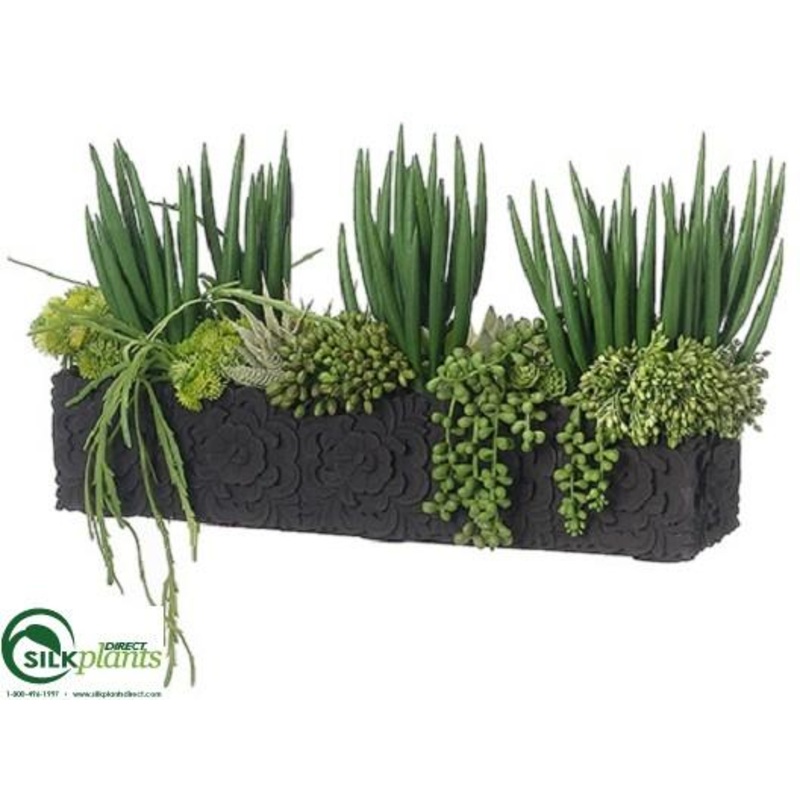 Avage, Senecio, Hanging Cactus Arrangement – Green – Pack of 1
