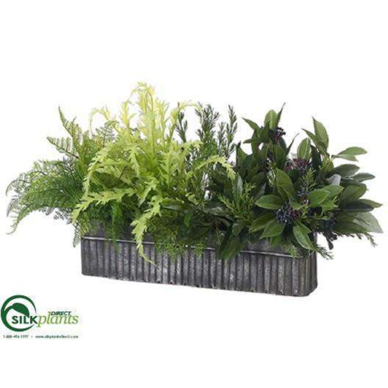 Rosemary, Fern Arrangement – Green – Pack of 1
