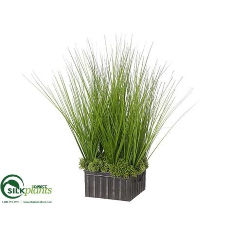 Sedum, Grass Arrangement – Green – Pack of 1