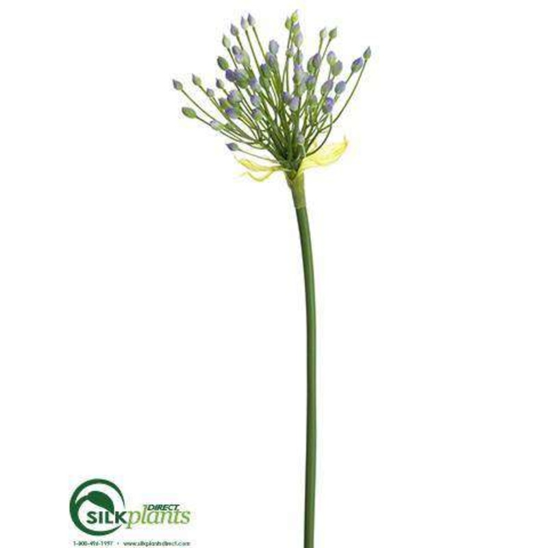 Agapanthus Bud Spray – Lavender Green – Pack of 12