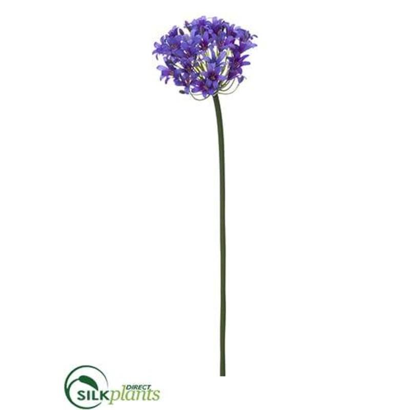 Agapanthus Spray – Purple – Pack of 6