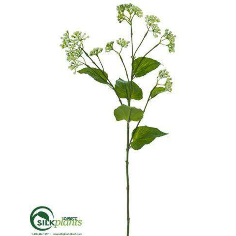 Ageratum Spray – Cream Green – Pack of 12