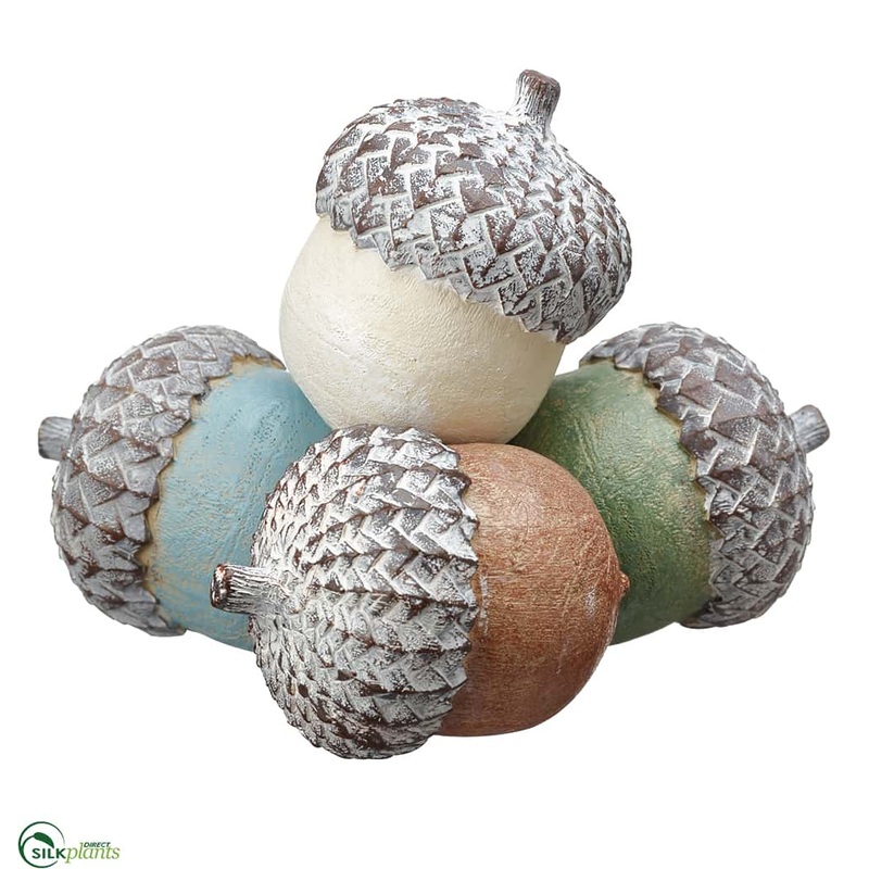 Acorn – Mixed – Pack of 1