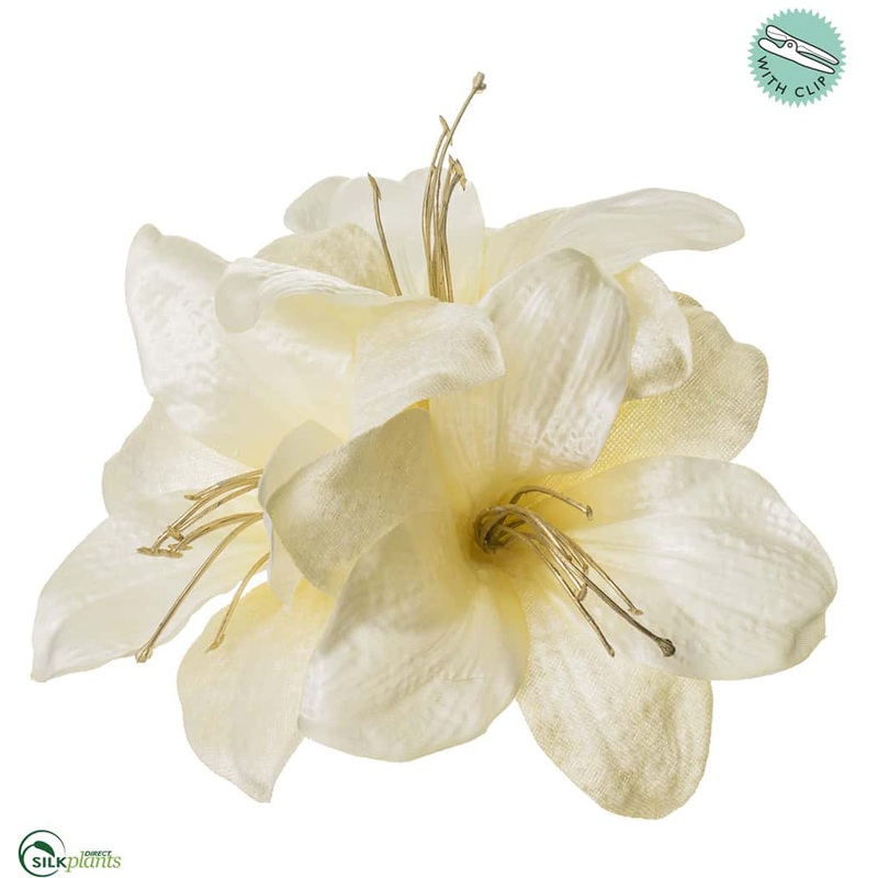 Amaryllis With Clip – Cream – Pack of 12