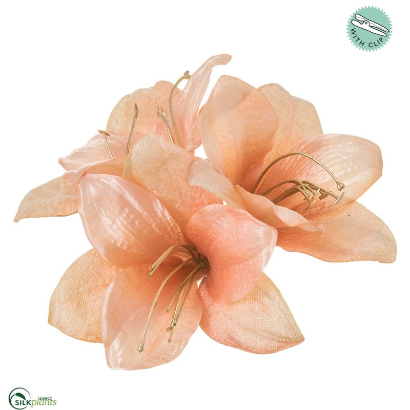 Amaryllis With Clip – Pink – Pack of 12