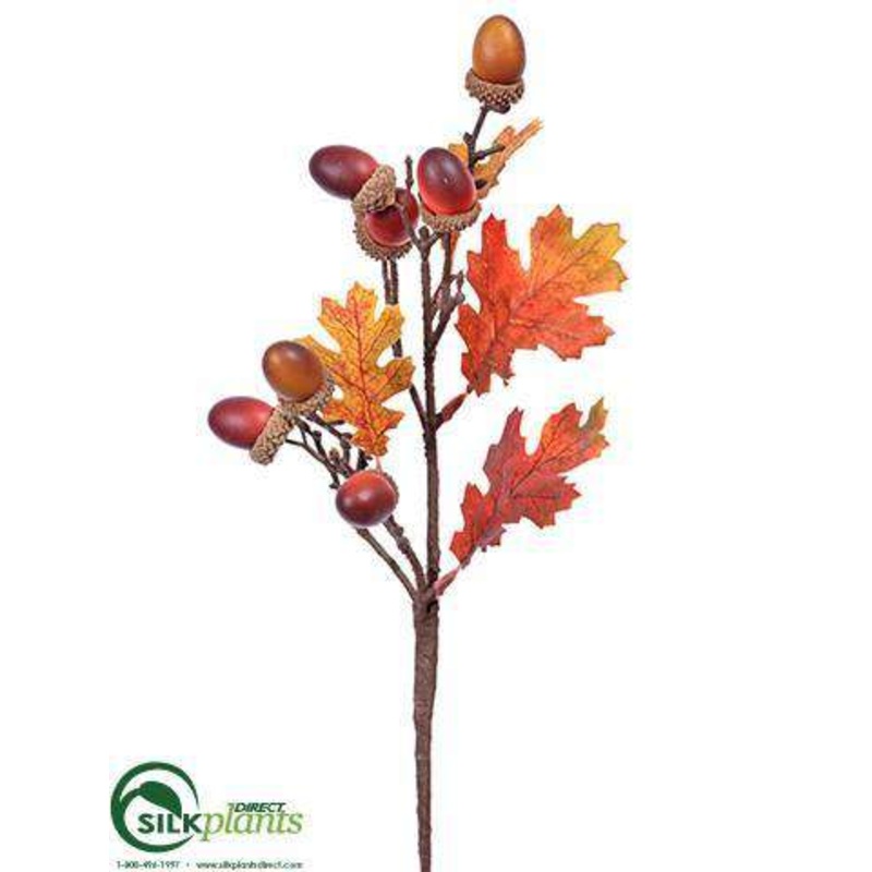Acorn Pick – Brown – Pack of 24