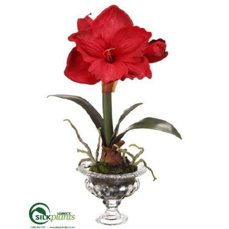 Amaryllis Arrangement – Red – Pack of 6