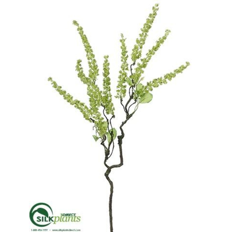 Amaranthus Spray – Lime – Pack of 12
