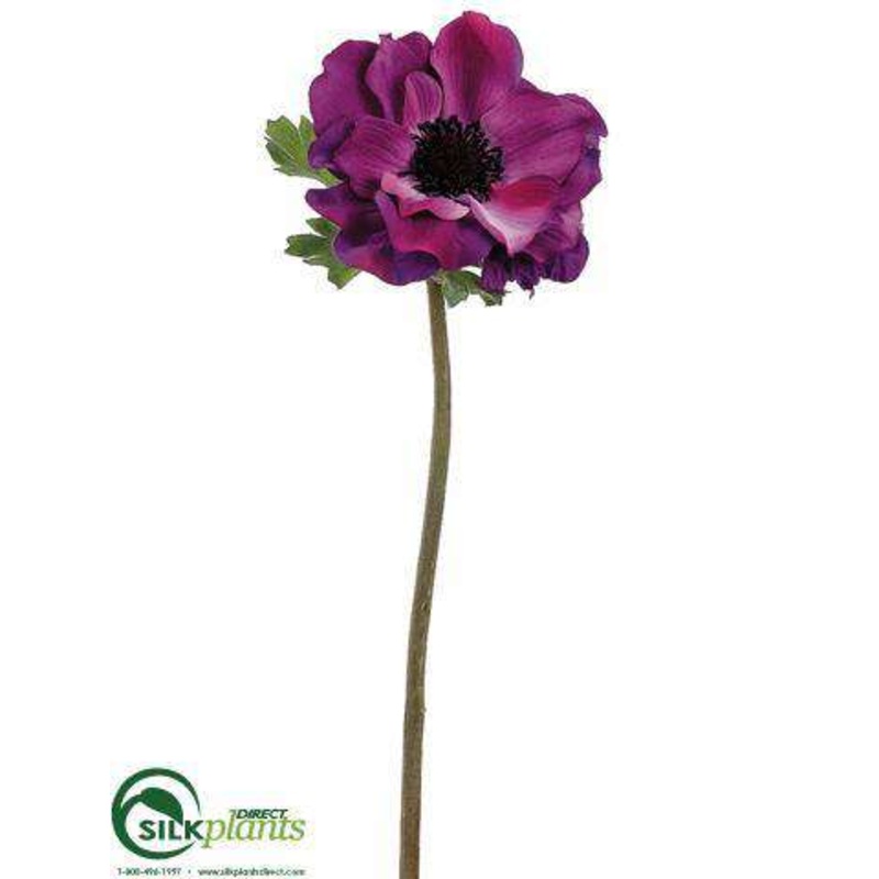 Anemone Spray – Everglade – Pack of 12