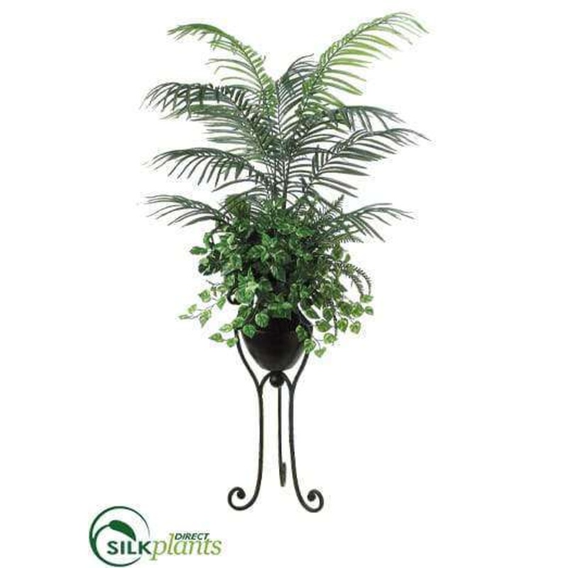 Areca Palm, Pothos, Fern – Green – Pack of 1