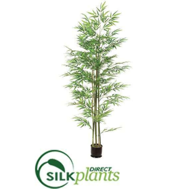 Bamboo Tree – Green – Pack of 2