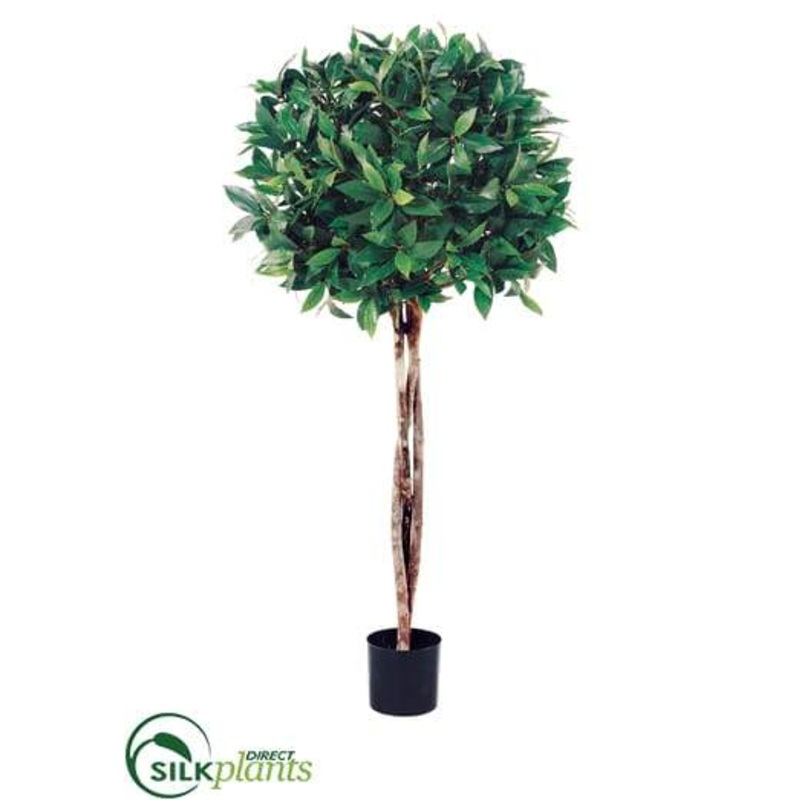Bay Leaf Topiary – Green – Pack of 2