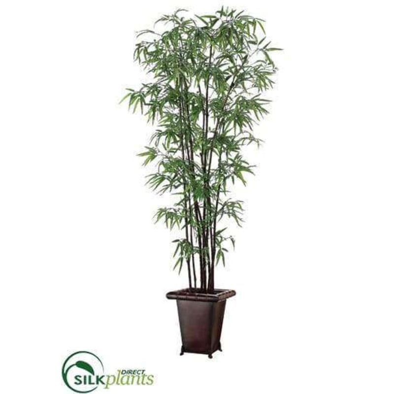 Black Bamboo Tree – Green – Pack of 1