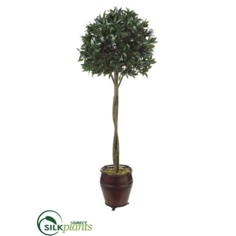 Sweet Bay Single Ball Topiary – Green – Pack of 1