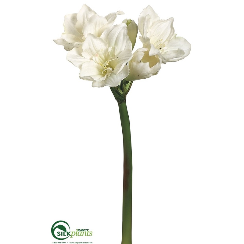 Amaryllis Spray – Cream – Pack of 6