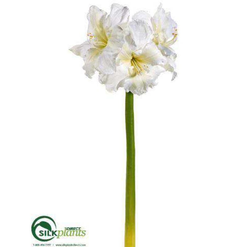 Amaryllis Spray – White – Pack of 6