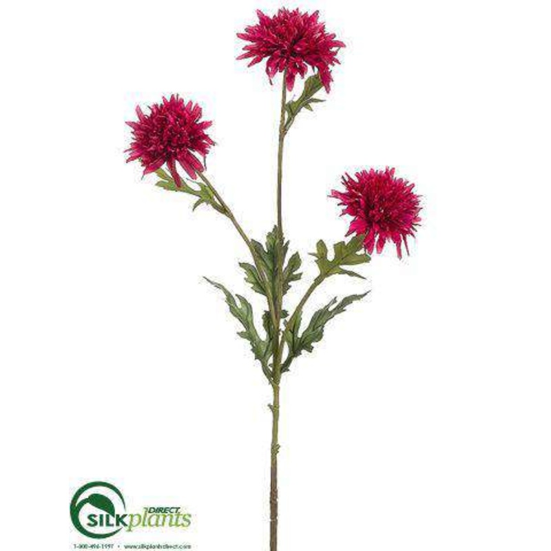 Aster Mum Spray – Fuchsia – Pack of 12