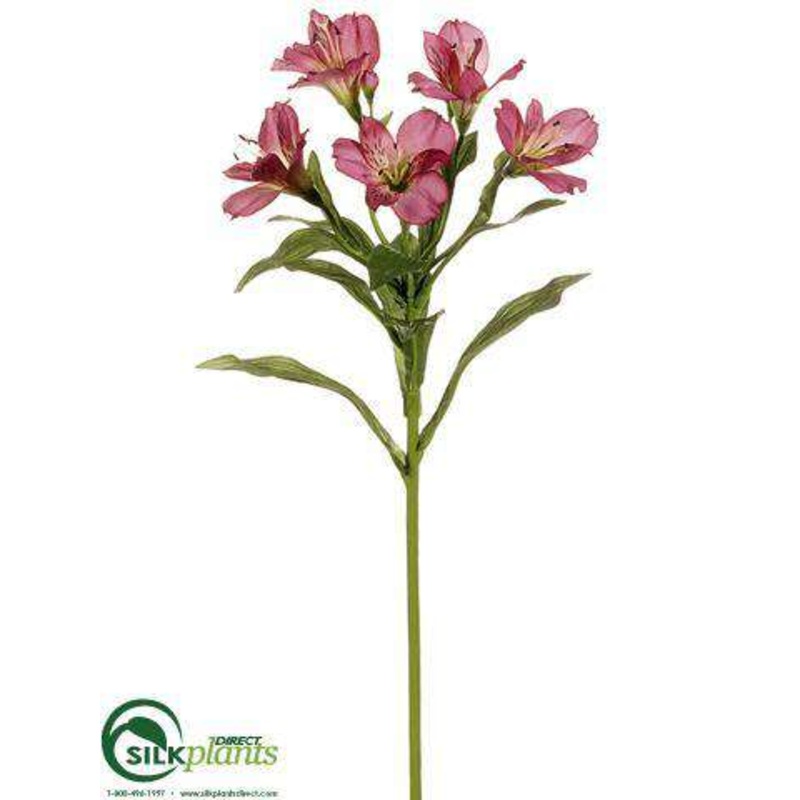 Alstroemeria Spray – Fuchsia – Pack of 12