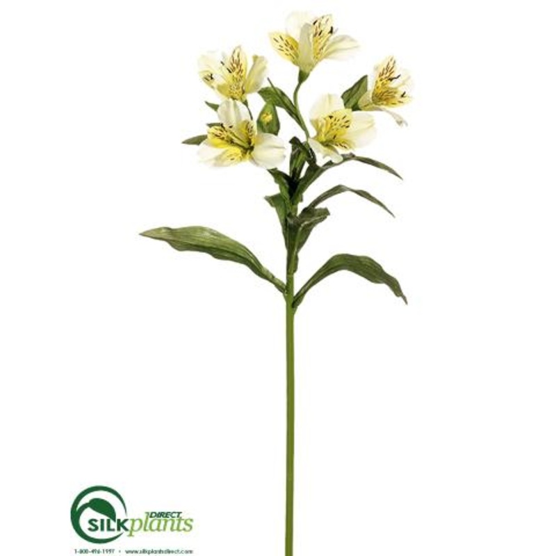 Alstroemeria Spray – Yellow – Pack of 12