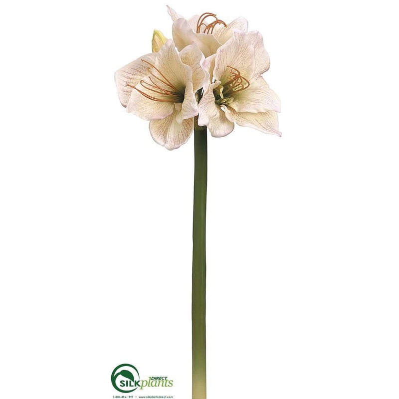 Amaryllis Spray – Pink Blush – Pack of 6