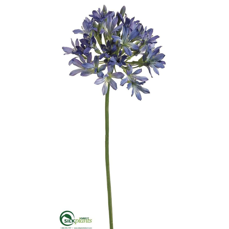 Agapanthus Spray – Blue Burgundy – Pack of 12