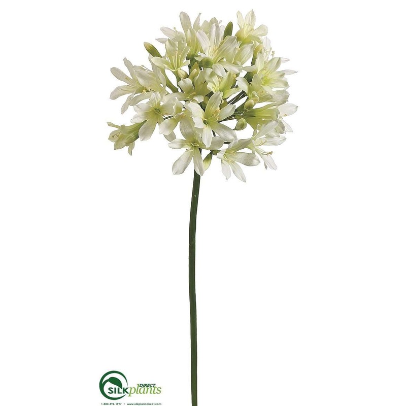 Agapanthus Spray – Cream – Pack of 12