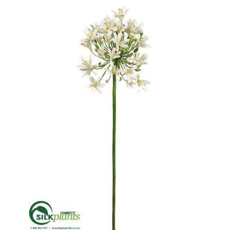 Agapanthus Spray – Cream – Pack of 6