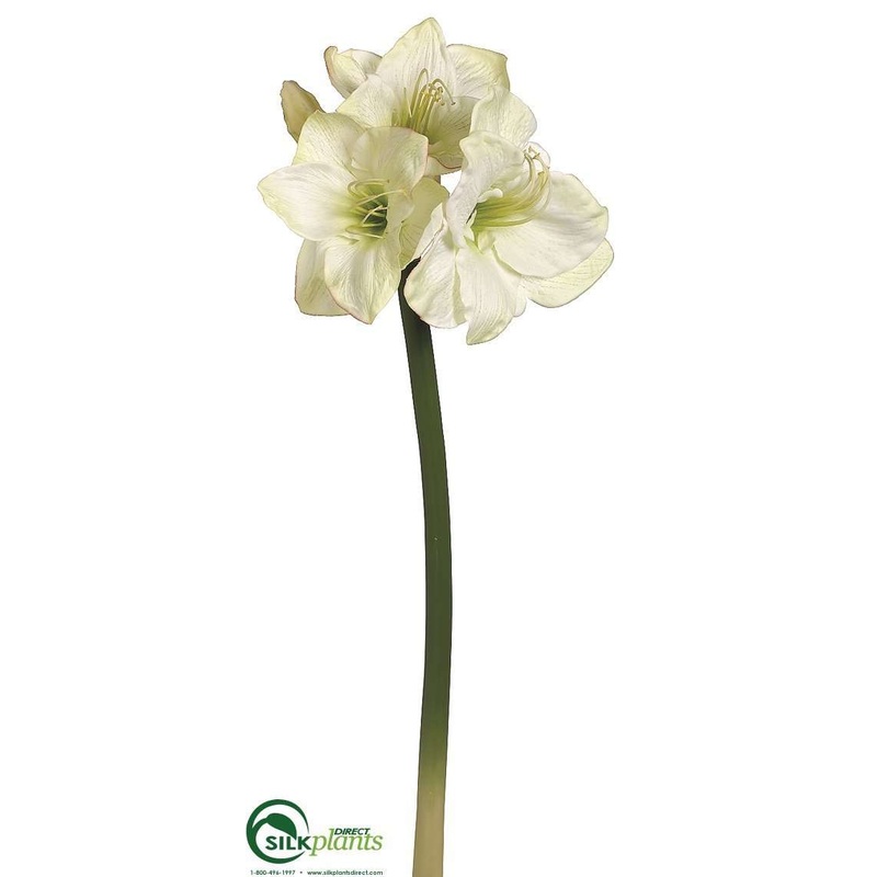 Amaryllis Spray – Green – Pack of 6