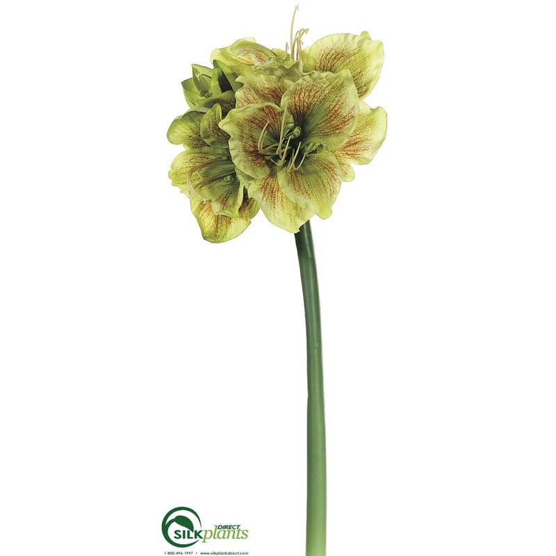 Amaryllis Spray – Green Red – Pack of 6