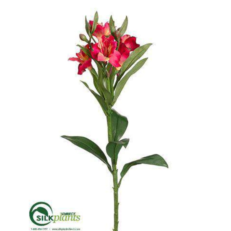 Alstroemeria Spray – Beauty Yellow – Pack of 12