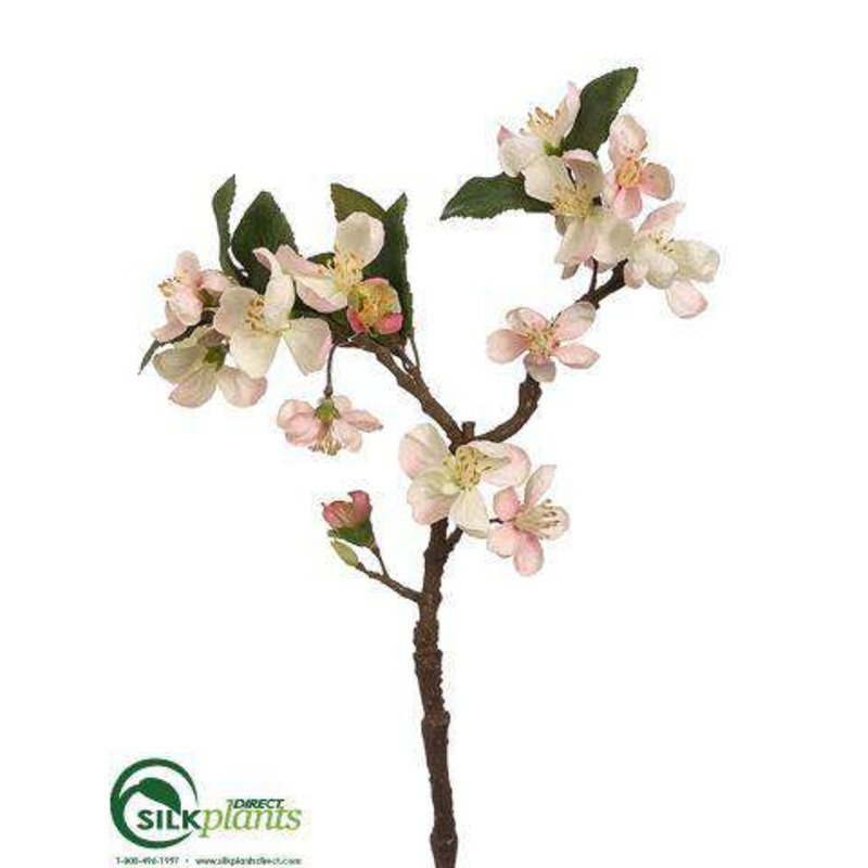 Apple Blossom Spray – Cream Coral – Pack of 12