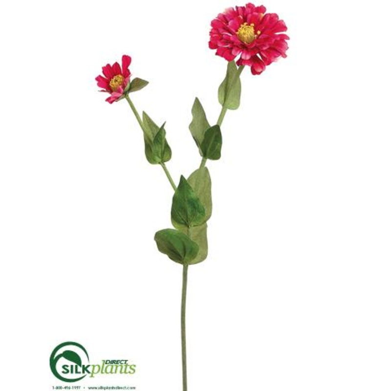 Zinnia Spray – Fuchsia – Pack of 12