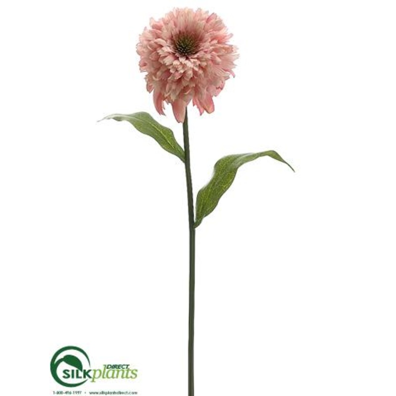 Zinnia Spray – Pink Cream – Pack of 12