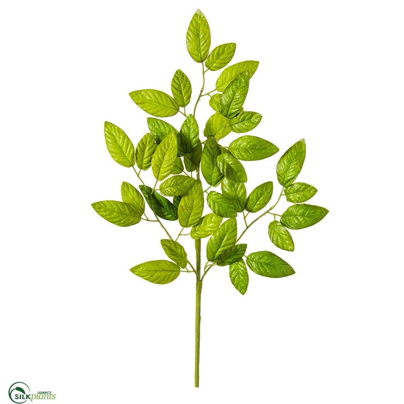 White Ash Leaf Spray – Green Two Tone – Pack of 12
