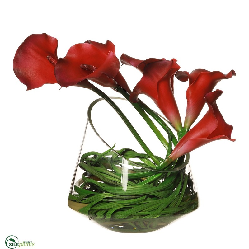 Calla Lilly, Grass – Beauty – Pack of 1