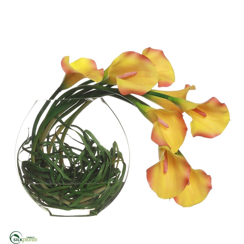 Calla Lily – Yellow Green – Pack of 1