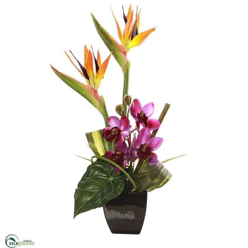 Orchid, Bird of Paradise – Purple Natural – Pack of 1