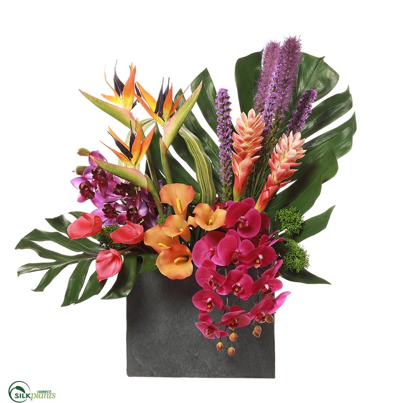 Orchid, Hawaiian Ginger, Bird of Paradise – Purple Orange – Pack of 1